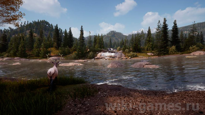 Hunting Simulator 2 changes times