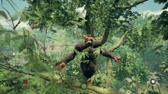 Ancestors Stop Bleeding 2