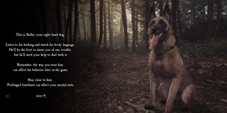 How To Properly Use Bullet