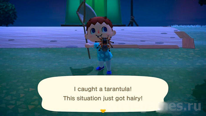 animal cross orhid 4