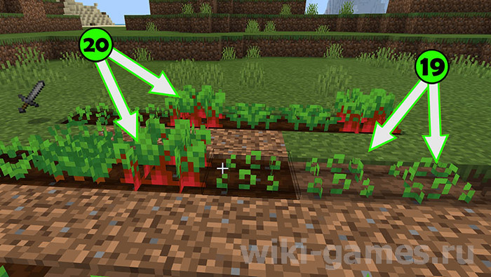 minecraft survivor 11