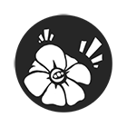 rattle weed weapon mod remnant from the ashes