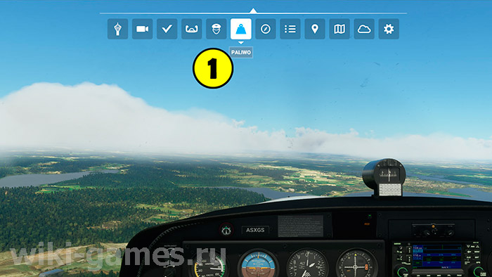 Microsoft Flight Simulator refill 1