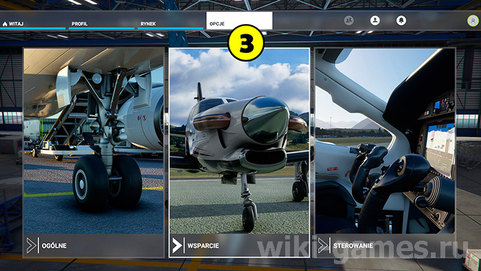 Microsoft Flight Simulator refill 3