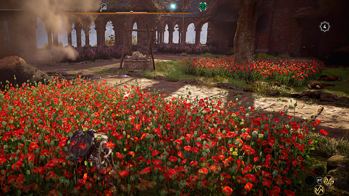 Assassins Creed Valhalla scrit 4