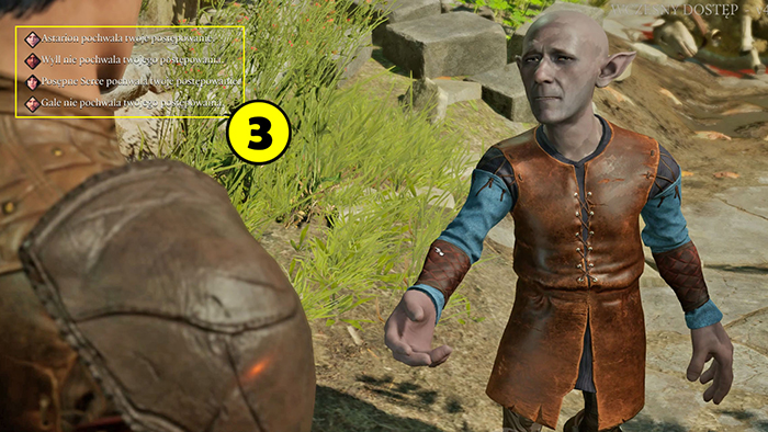 Baldur Gate 3 hp zdor 5