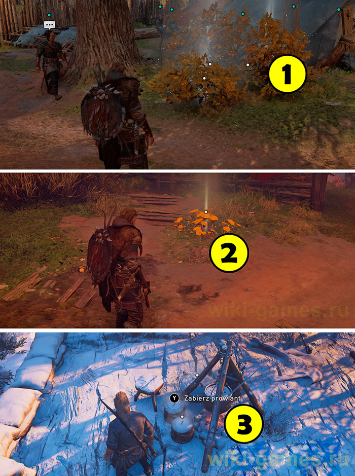 assassins creed valhalla zdor 2