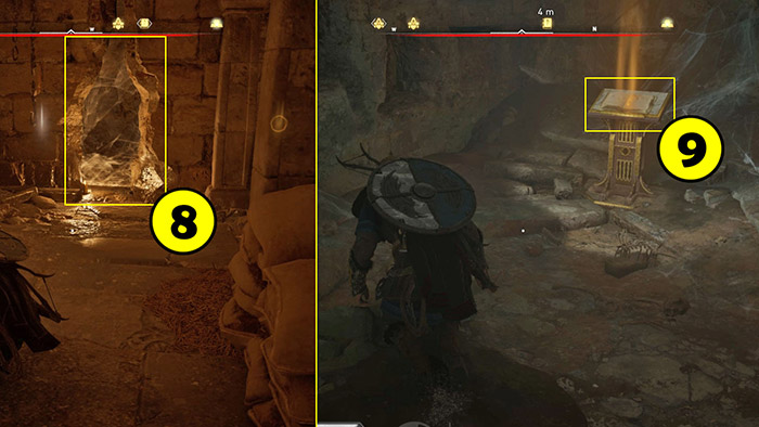 assasins creed valhalla study books 11