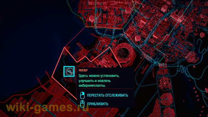 cyberpunk 2077 riper 12