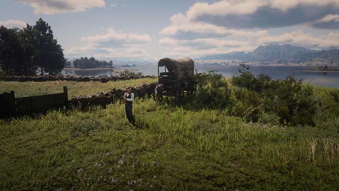 rdr 2 скупка краденных лошадей rdr 2 скупка краденных лошадей